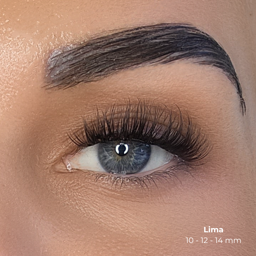 Quick Lashes Starter Kit Lima