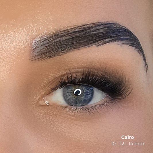Quick Lashes Starterskit Caïro